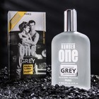 Туалетная вода мужская Number One Grey Intense Perfume, 100 мл - Фото 1