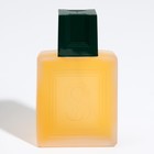 Туалетная вода мужская Dollar Intense Perfume, 100 мл - Фото 4