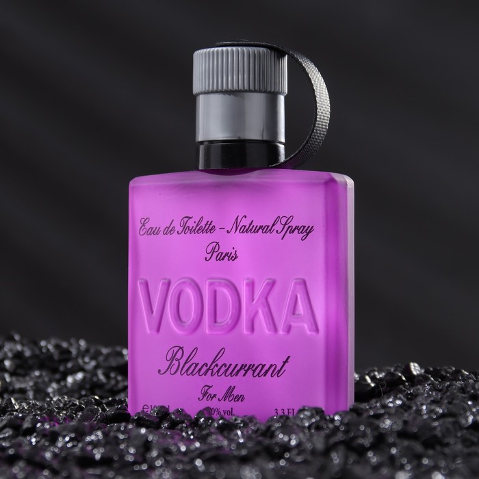 Туалетная вода мужская Vodka Blackcurrant Intense PerfumeD, 100 мл - фото 1898005557