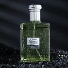 Туалетная вода мужская Cosa Nostra Platinium Intense Perfume, 100 мл - Фото 5