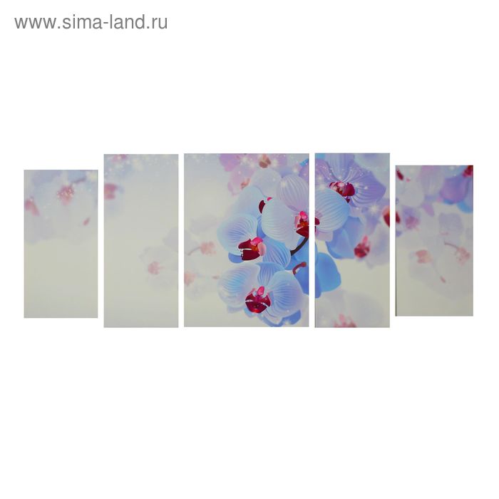 Картина модульная на подрамнике "Нежные орхидеи" 30х60 см - 2шт,  30х70 см - 2шт, 50х70 см - Фото 1
