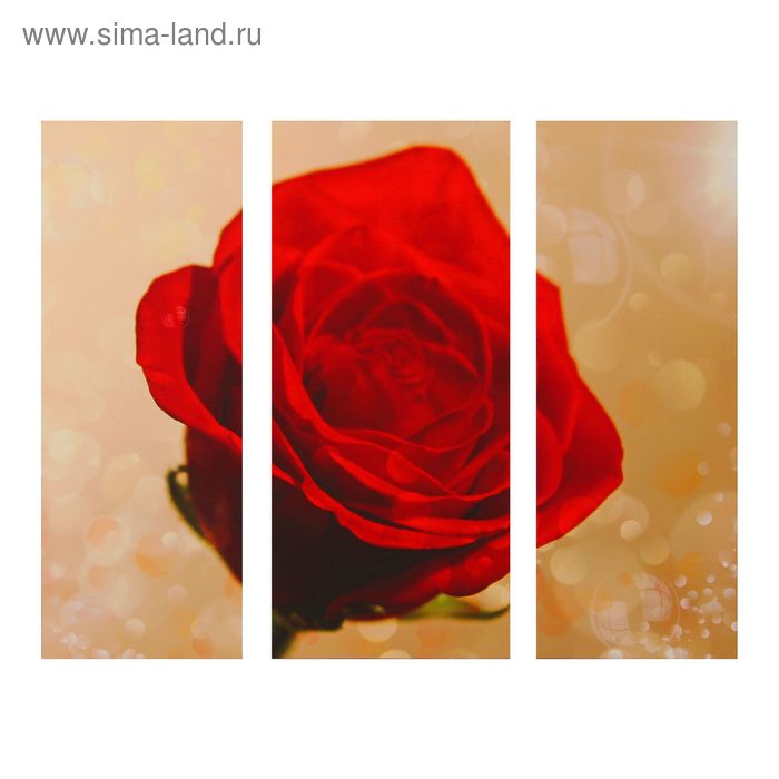 Картина модульная на подрамнике "Красная роза"25х65, 30х65, 25х65 см - Фото 1