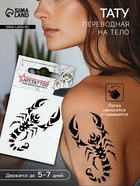 Переводная тату на тело «Знак зодиака: Скорпион», 5.3×6.3 см - Фото 1