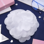 Бант "Сияющий пион", 11 см, микс - Фото 1