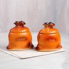 Набор для специй "Мешок", 2 предмета, коричневый, керамика, 0.5 л - Фото 1