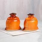 Набор для специй "Мешок", 2 предмета, коричневый, керамика, 0.5 л - Фото 2