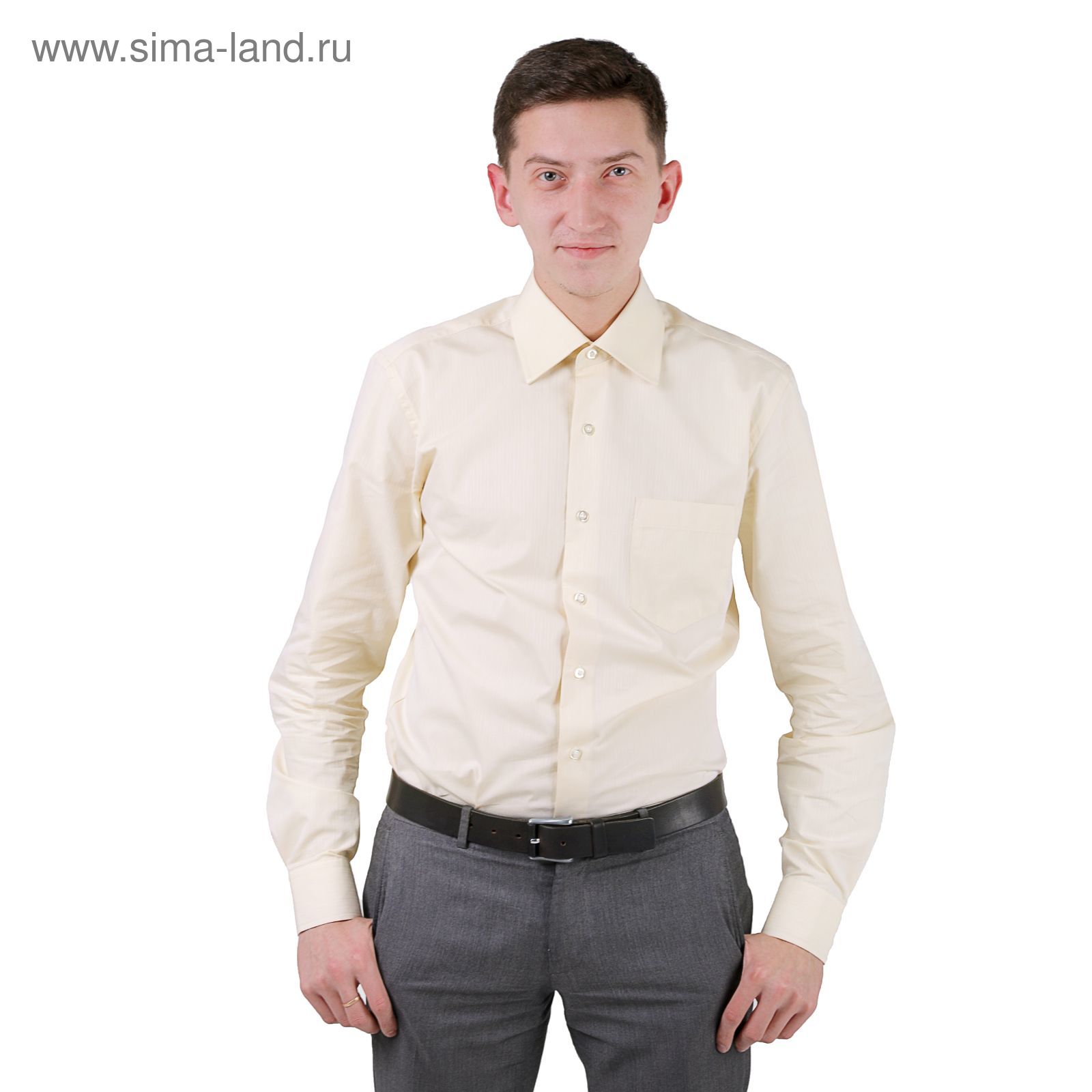 Рубашка шампань мужская. Poggino мужские сорочки с коротким рукавом шампань. Рубашка цвета шампань. Мужская рубашка цвета шампань. Franco bellini рубашки.