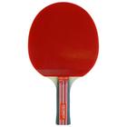 Ракетка для настольного тенниса Start line Level 200 с анатомической ручкой - Фото 2