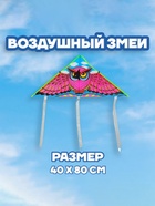 Воздушный змей «Сова», с леской - Фото 1