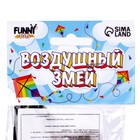 Воздушный змей «Сова», с леской - Фото 2