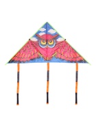 Воздушный змей «Сова», с леской 1211396