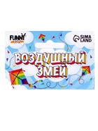 Воздушный змей «Сова», с леской 1211396