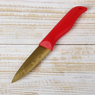 Нож кухонный с титановым покрытием Доляна «Золотой клад», лезвие 8 см - Фото 1