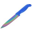 Нож с титановым покрытием Доляна «Органит», 13 см, цвет синий - Фото 1