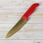 Нож кухонный с титановым покрытием Доляна «Золотой клад», лезвие 14,5 см - Фото 1
