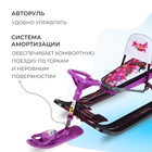 Снегокат «Тимка спорт 4-1 Пинк», ТС4-1/ПН2, со спинкой и ремнём безопасности, цвет чёрный/бордовый/фиолетовый - Фото 4