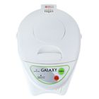 Термопот Galaxy GL 0606, 900 Вт, 5 л, рисунок "маки" - Фото 5