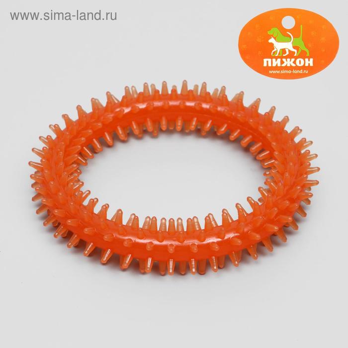 Игрушка жевательная "Игольчатое кольцо", прозрачная, PP, 12,5 см, микс цветов - Фото 1