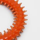 Игрушка жевательная "Игольчатое кольцо", прозрачная, PP, 12,5 см, микс цветов - Фото 3