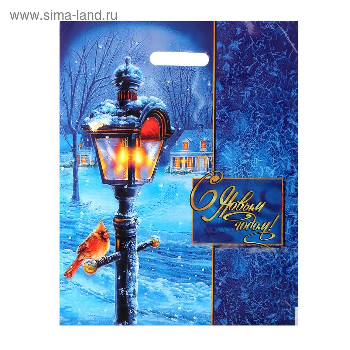 Пакет "Зимний вечер", полиэтиленовый с вырубной ручкой, 38 х 47 см, 60 мкм - Фото 1