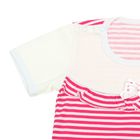 Боди с коротким рукавом, возраст 3 месяца, цвет розовый/белый (арт. FF-232) - Фото 2