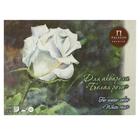 Планшет для акварели А3, 20 листов "Белая роза", блок 260 г/м², цвет палевый лён - Фото 1