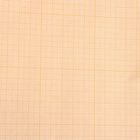 Бумага масштабно-координатная, ширина 878 мм, в рулоне 10 метров, 40 г/м², оранжевая - Фото 2