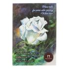 Планшет для акварели А4, 20 листов "Палаццо.Белая роза", палевая, лён, 260г/м2 - Фото 1