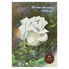 Планшет для акварели А4, 20 листов "Палаццо.Белая роза", палевая, лён, 260г/м2 - Фото 2