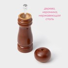 Мельница для специй Доляна «Дуновение леса», 15.5 см, керамический механизм, коричневая - Фото 2