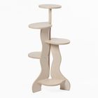 Полка для цветов "Бис", цвет береза рижская - Фото 1