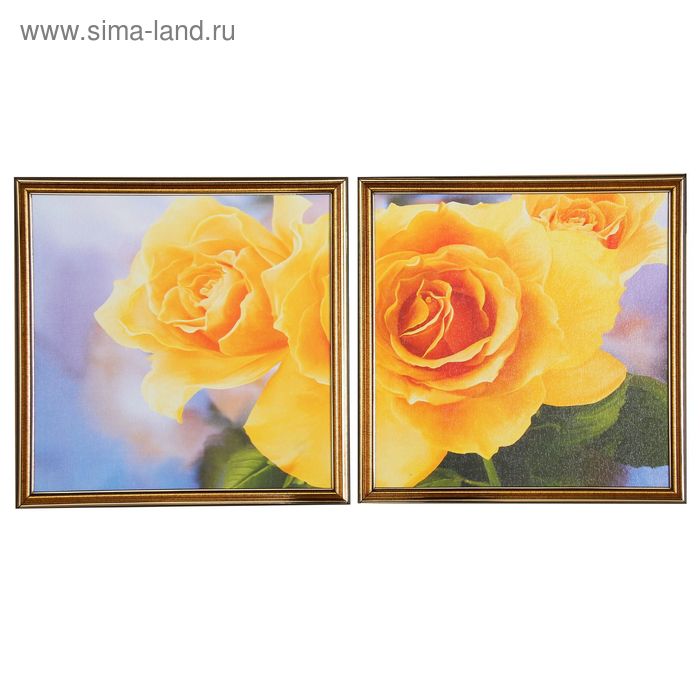 Картина модульная в раме "Жёлтые розы" 2-30*30 см; 33х66 см - Фото 1