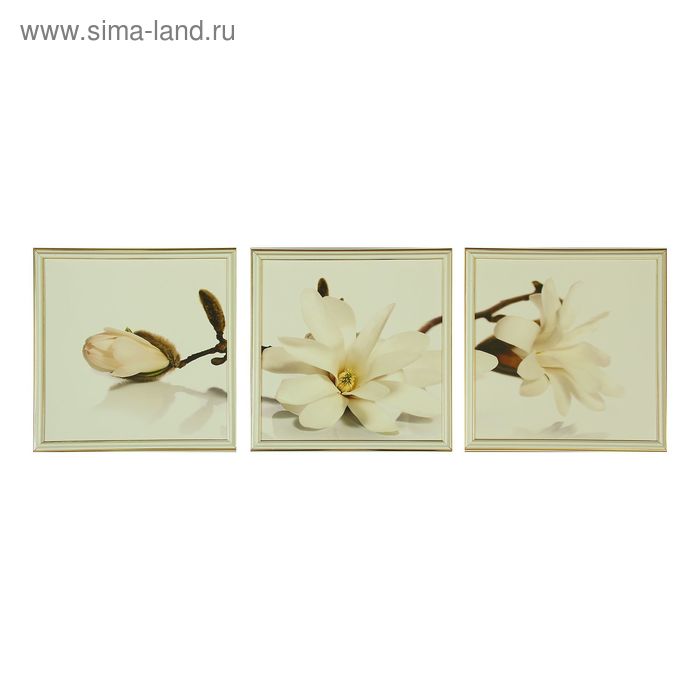 Картина модульная "Белые цветы" 3шт.-33*33см,   33х99 см - Фото 1