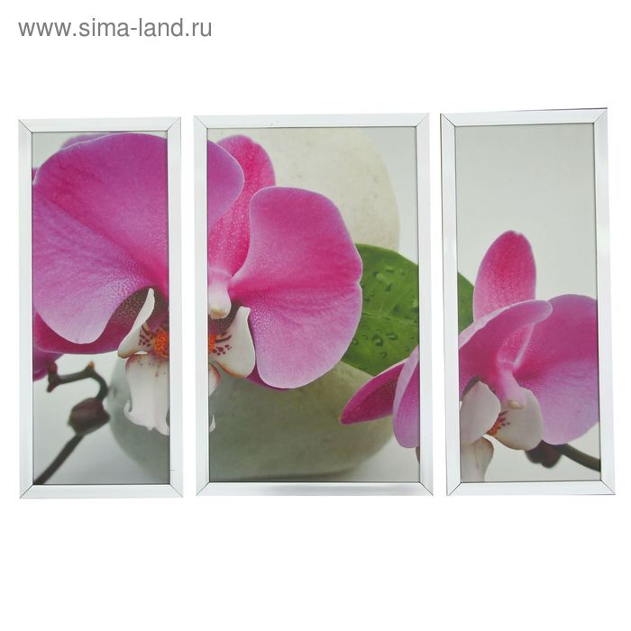 Картина модульная "Орхидея" 50х70 см - Фото 1