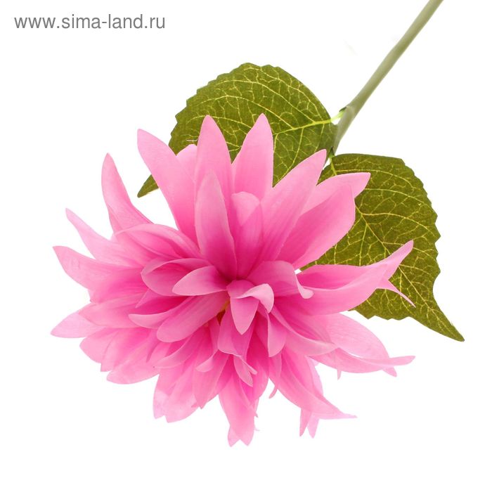 Цветы искусственные "Георгин" сиреневый 15х50 см - Фото 1