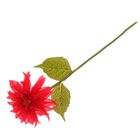 Цветы искусственные "Георгин" красный 15х50 см - Фото 2