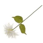 Цветы искусственные "Георгин" белый 15х50 см - Фото 2