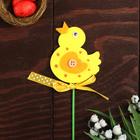 Топпер-декор «Цыплёнок» - Фото 2