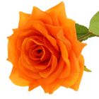Цветы искусственные 65 см "Роза Жаклин" оранж - Фото 2