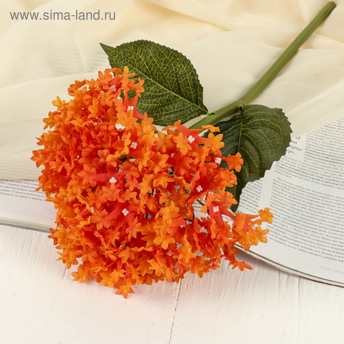 Цветы искусственные "Алиссум" 48 см оранж - Фото 1