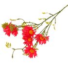 Цветы искусственные "Ромашка Пиретрум" 70 см розовая - Фото 1