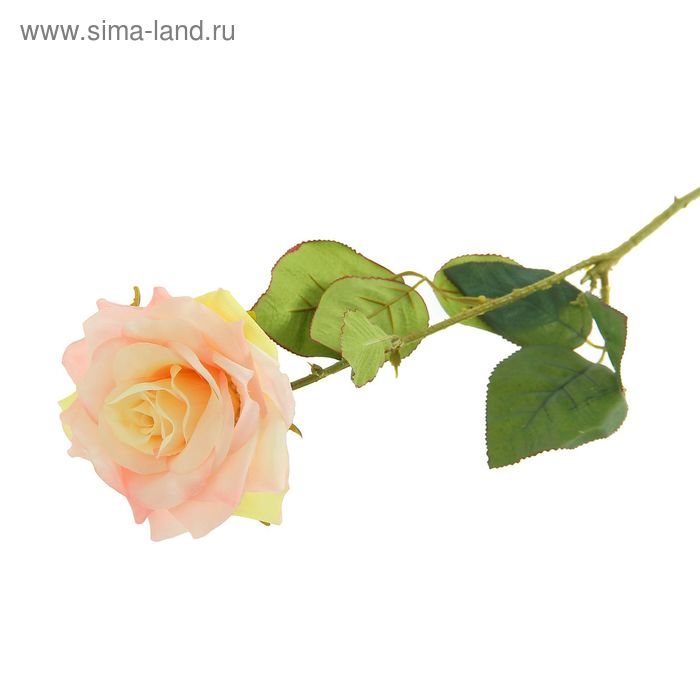Цветы искусственные 65 см "Роза Жаклин" бело-розовая - Фото 1