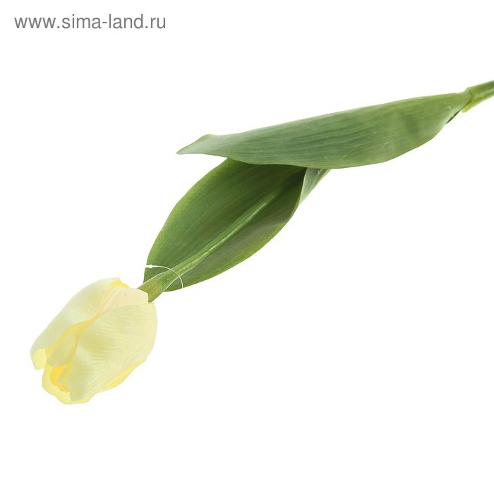 Цветы искусственные 64 см "Тюльпан Кореопсис" белый - Фото 1