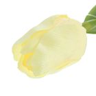 Цветы искусственные 64 см "Тюльпан Кореопсис" белый - Фото 2