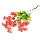 Цветы искусственные "Ромашка полевая" 71 см розовая - Фото 1
