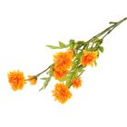 Цветы искусственные "Астра кустовая" 53 см оранж - Фото 1