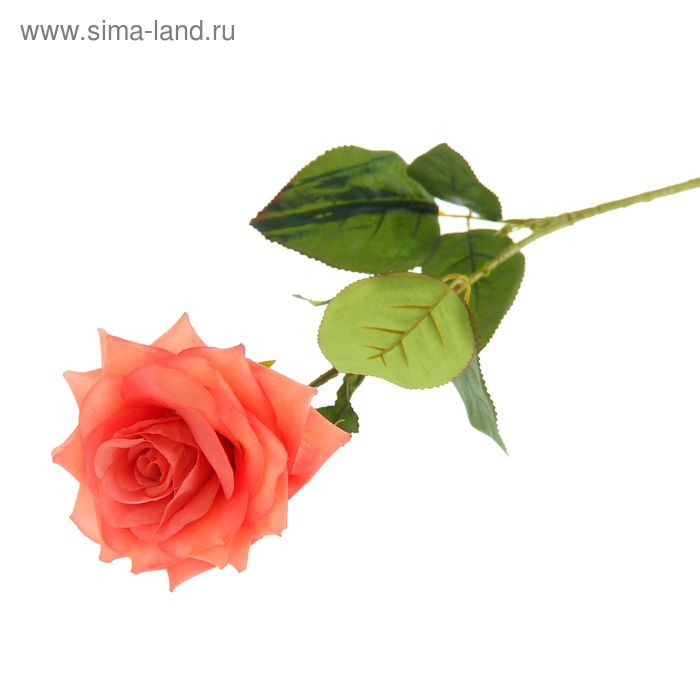 Цветы искусственные 65 см "Роза Жаклин" розовая - Фото 1