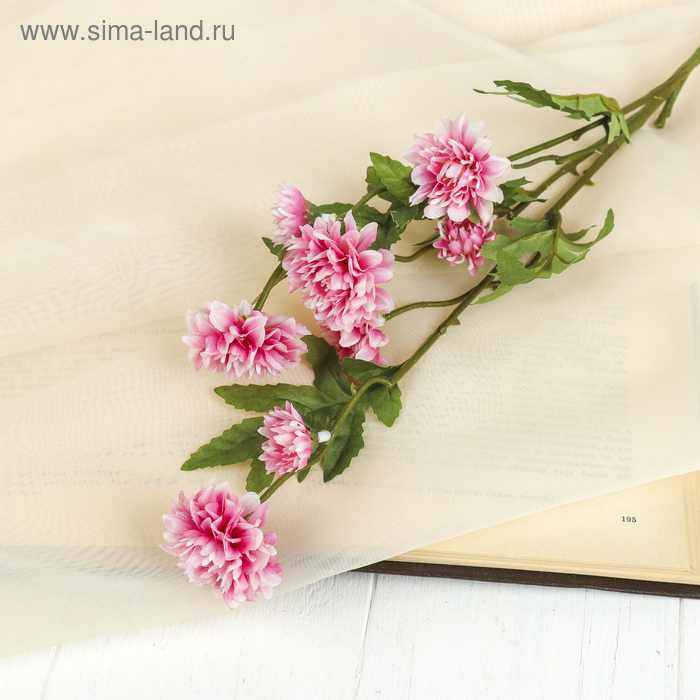 Цветы искусственные "Астра кустовая" 53 см розовая - Фото 1