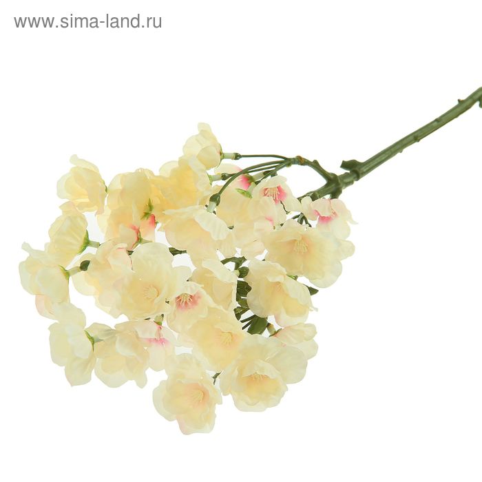 Цветы искусственные "Ветка яблони Саржента" 49 см бело-розовая - Фото 1