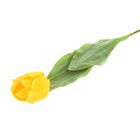 Цветы искусственные 75 см "Тюльпан Кореопсис" желтый - Фото 1